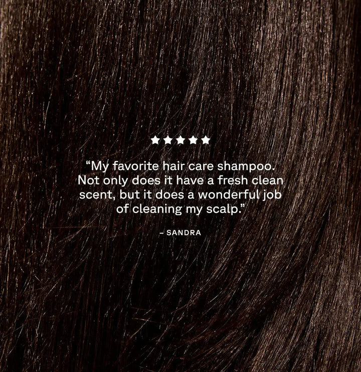 Curiously Clarifying Shampoo and Conditioner Set Acure JOLIE'S