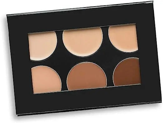 Mehron Celebre Pro-HD Conceal-It Palette - DOKAN