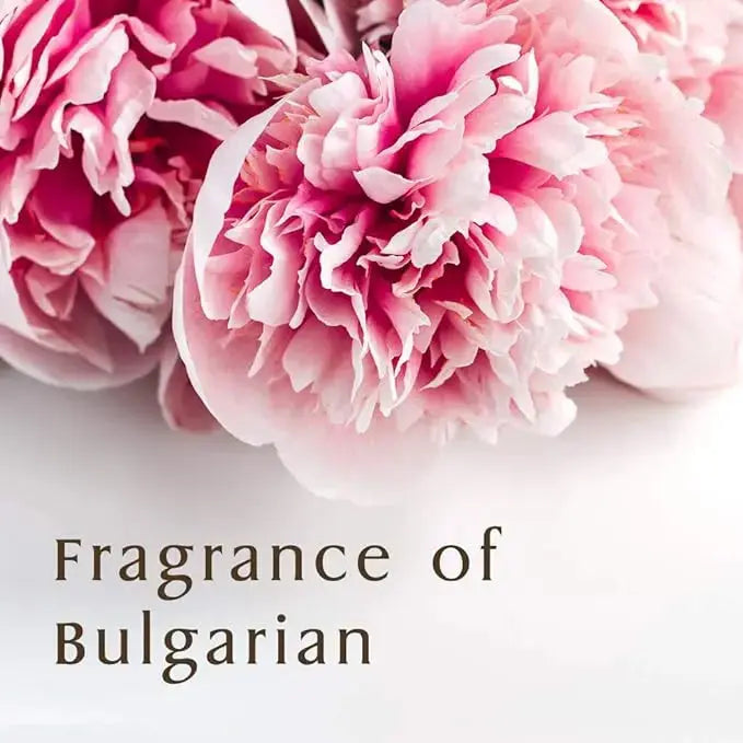 DOKAN & Honey Deep Moist Shampoo, Treatment & Hair Oil Set 440ml Each + 100ml & Honey